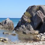 Nutritional Insights: What to Expect When Eating at Geprek Bensu Bandung